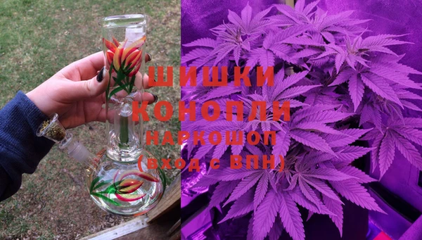 ешки Вяземский