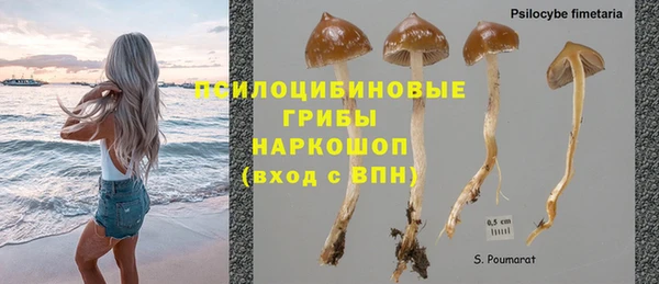 а пвп мука Горно-Алтайск