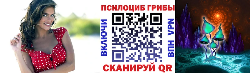 kraken tor  Емва  Галлюциногенные грибы Psilocybe 