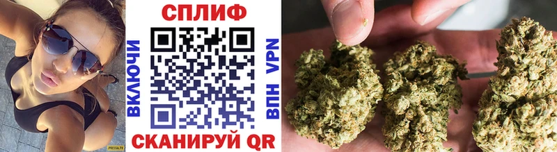 как найти закладки  Емва  Канабис сатива 